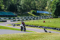 cadwell-no-limits-trackday;cadwell-park;cadwell-park-photographs;cadwell-trackday-photographs;enduro-digital-images;event-digital-images;eventdigitalimages;no-limits-trackdays;peter-wileman-photography;racing-digital-images;trackday-digital-images;trackday-photos